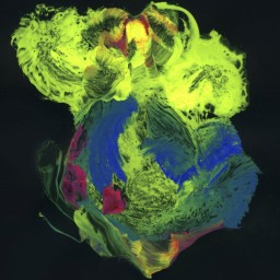 The Face of the Deep