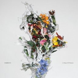 Review by Saxy S for Big Brave - A Chaos of Flowers (2024)