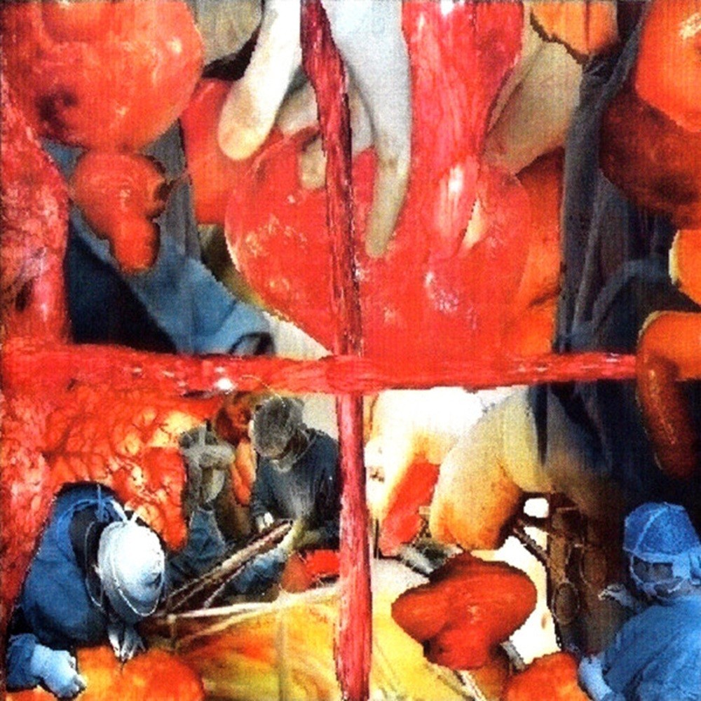 Urinary Tract Infection From Severe Pus Clots - A Biogangliocystadenomyostomic Sado-Surgery (2011) Cover