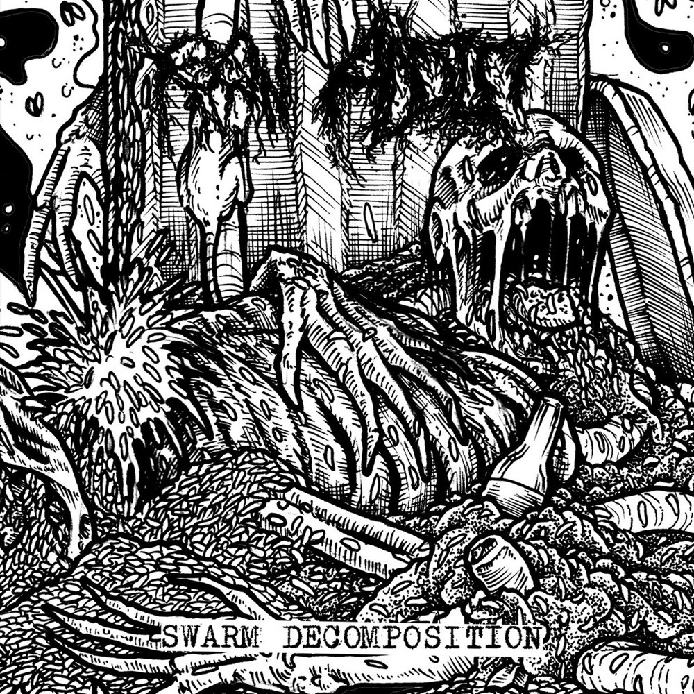 Raw Addict - Swarm Decomposition (2025) Cover
