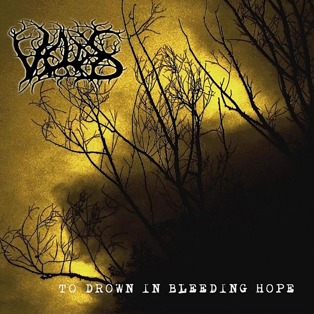 Veldes - To Drown in Bleeding Hope (2013) Cover