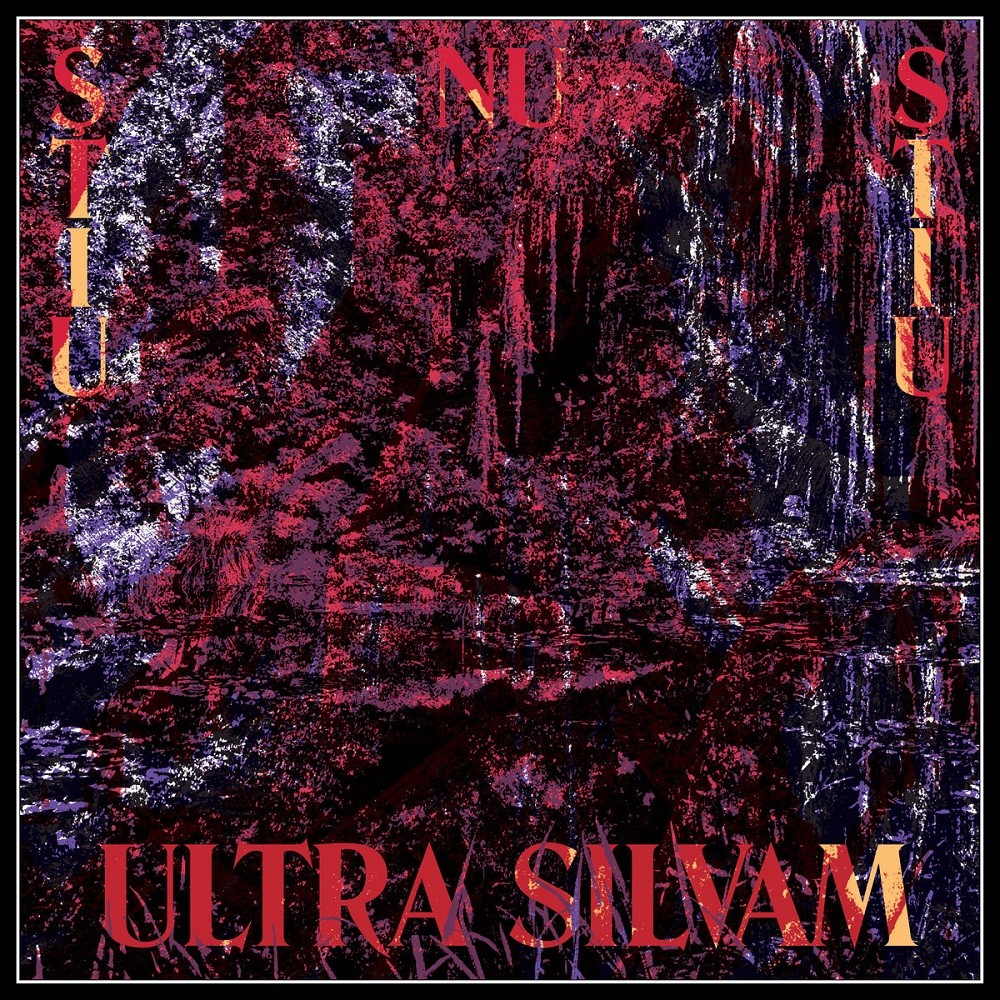 Ştiu Nu Ştiu - Ultra Silvam (2014) Cover