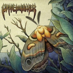 Review by Sonny for Pinewalker - Migration (2019)