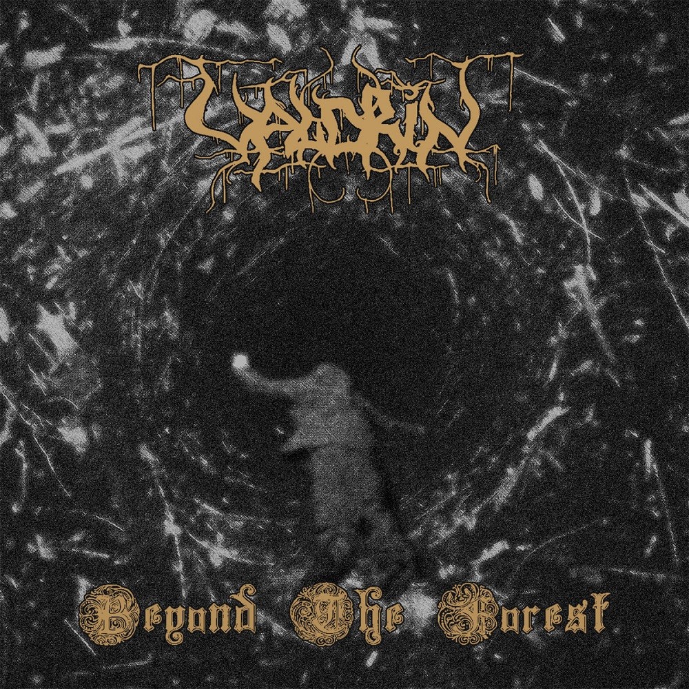Valdrin - Beyond the Forest (2013) Cover