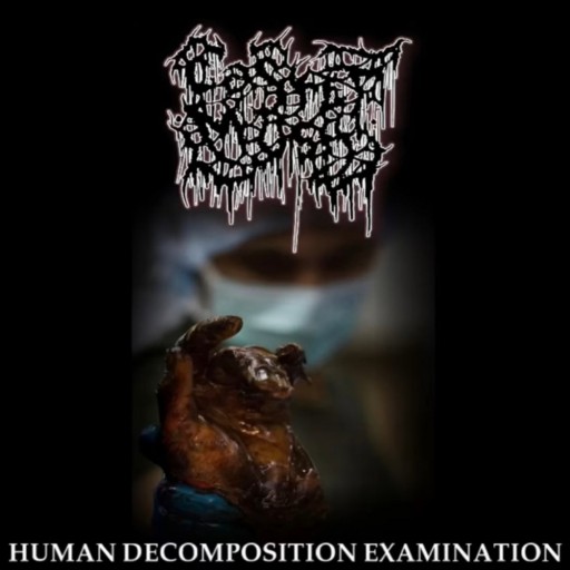 Human Decomposition Examination