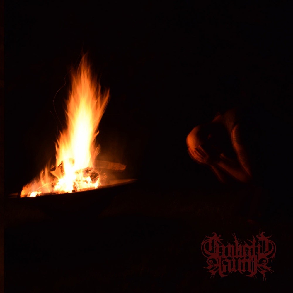 Twilight Fauna - The Year the Stars Fell