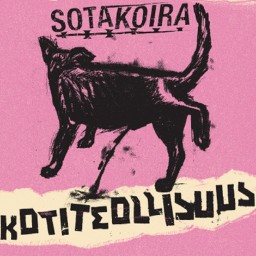 Sotakoira