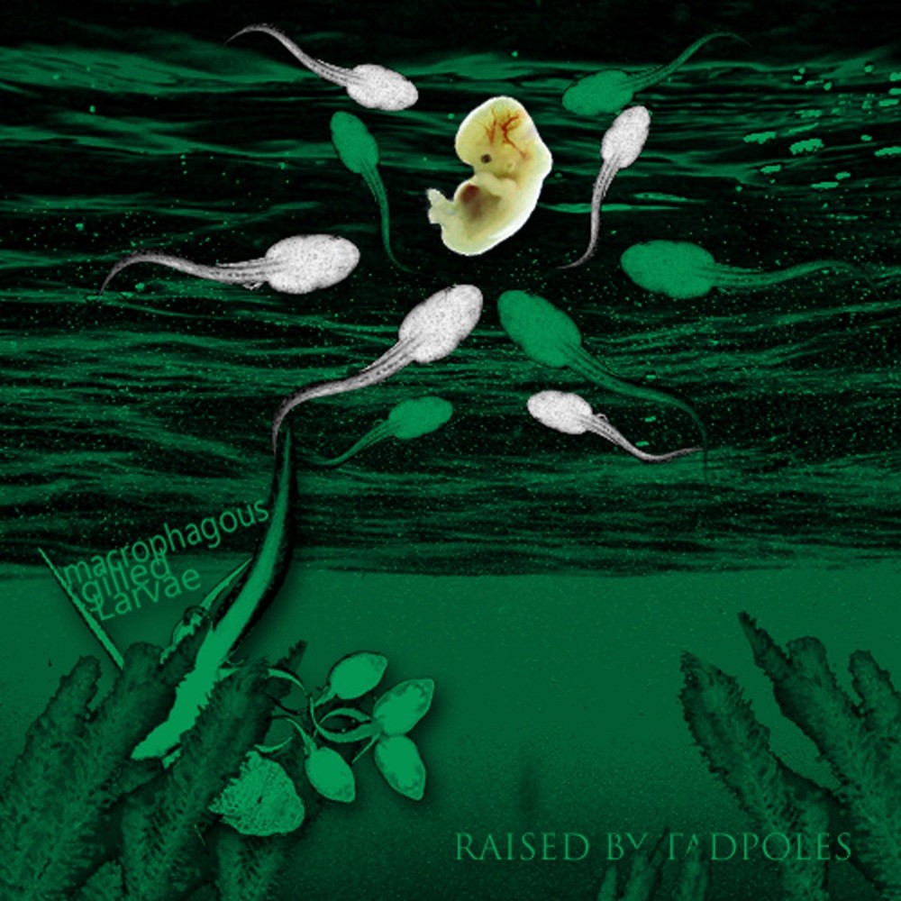 Macrophagous Gilled Larvae - Raised by Tadpoles (2011) Cover