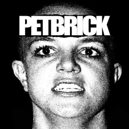 Pet Brick