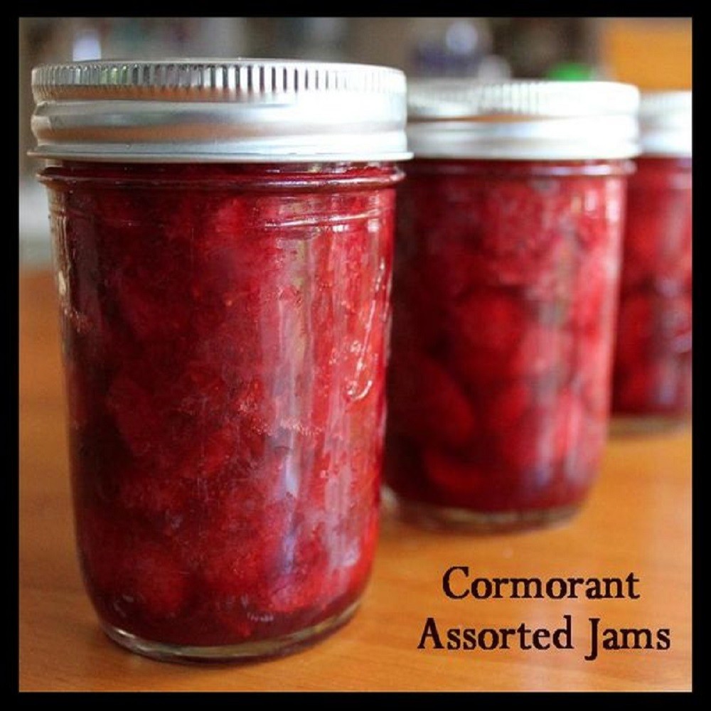 Cormorant - Assorted Jams (2011) Cover