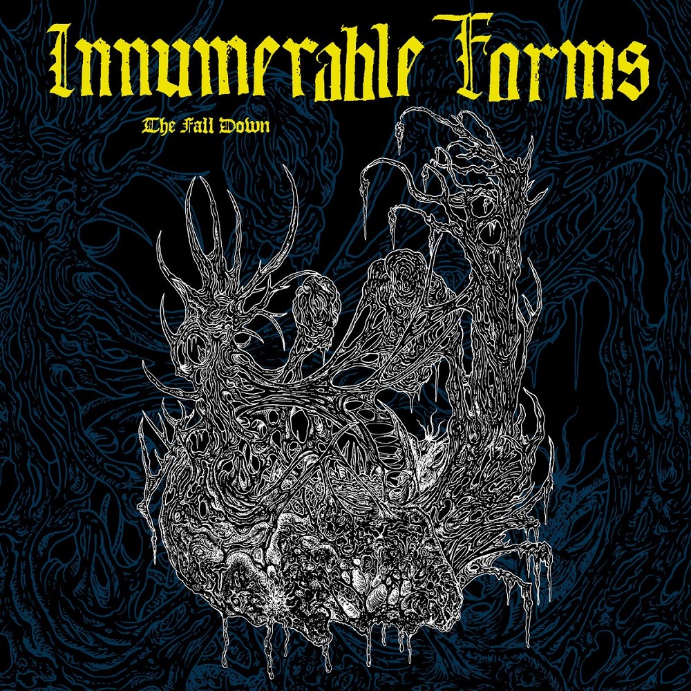 Innumerable Forms - The Fall Down (2023) Cover