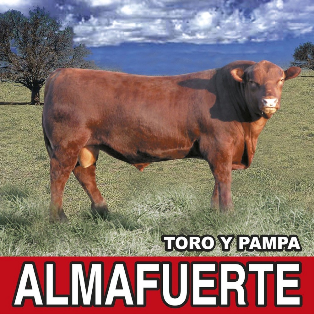 Almafuerte - Toro y pampa (2006) Cover