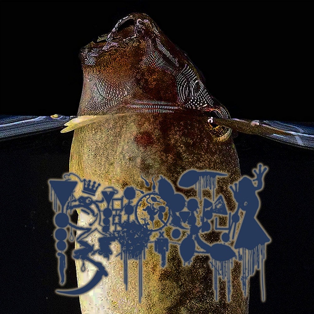 Phyllomedusa - Vertical Quotidian Respiration (2025) Cover