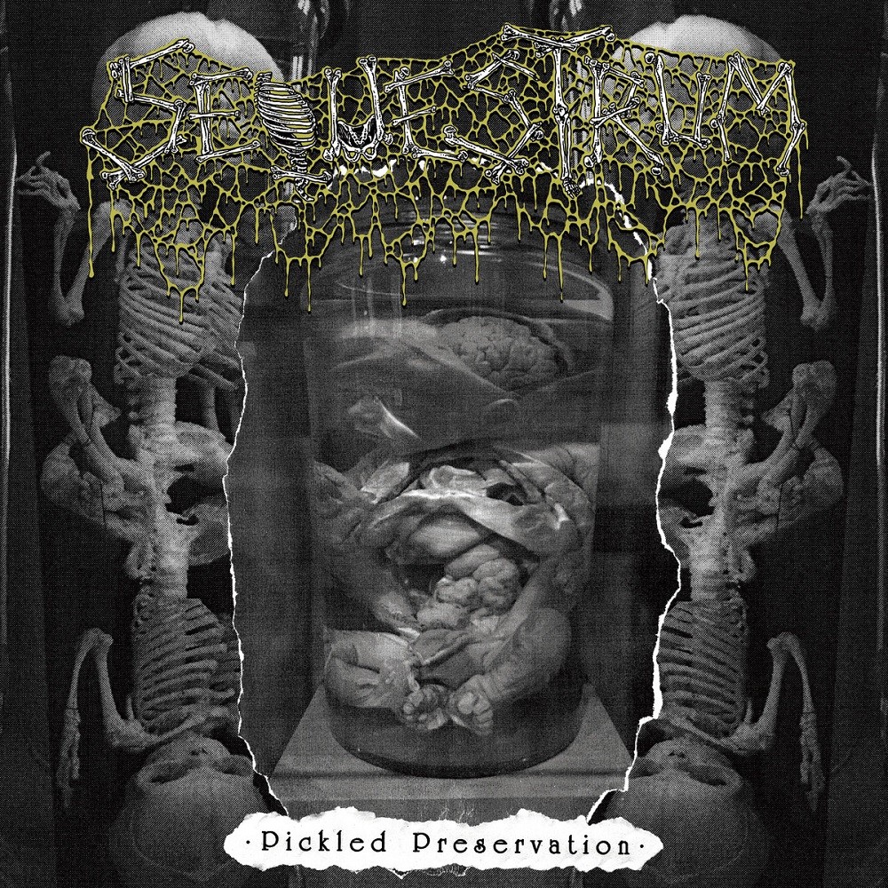 Sequestrum - Pickled Preservation (2023) Cover