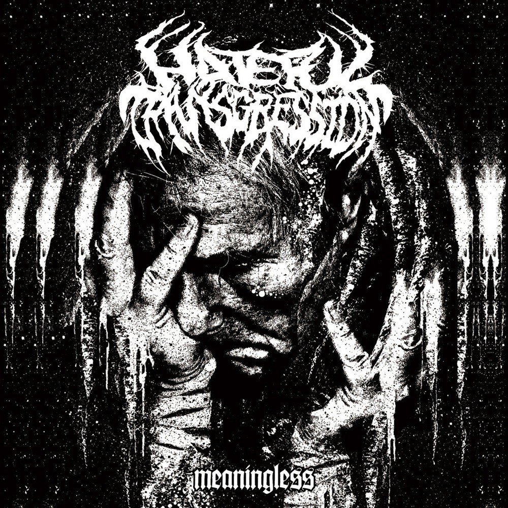 Hateful Transgression - Meaningless (2017) Cover