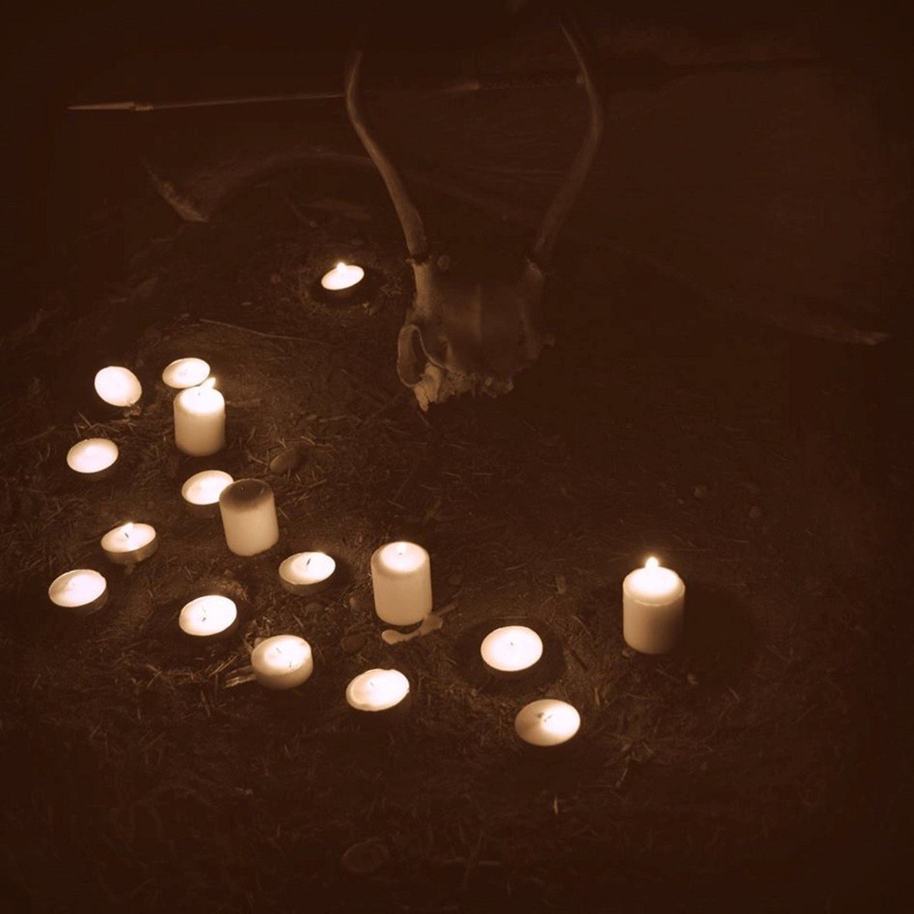 Harrow - Old Growth (2017) Cover