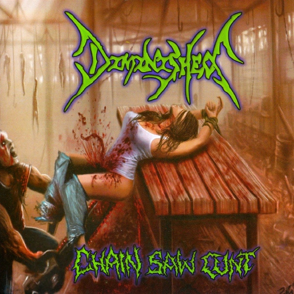 Diminished - Chainsaw Cunt (2010) Cover