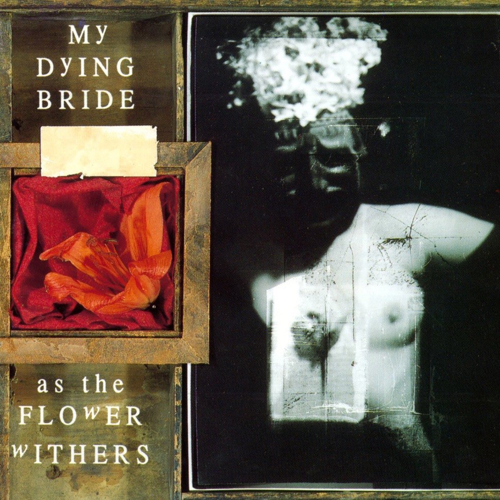 My Dying Bride - As the Flower Withers (1992) Cover