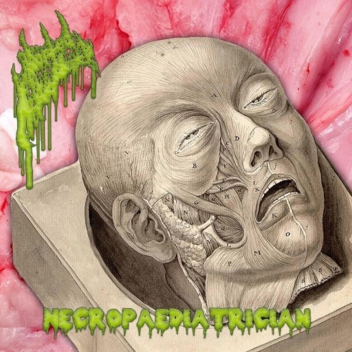 Necropaediatrician