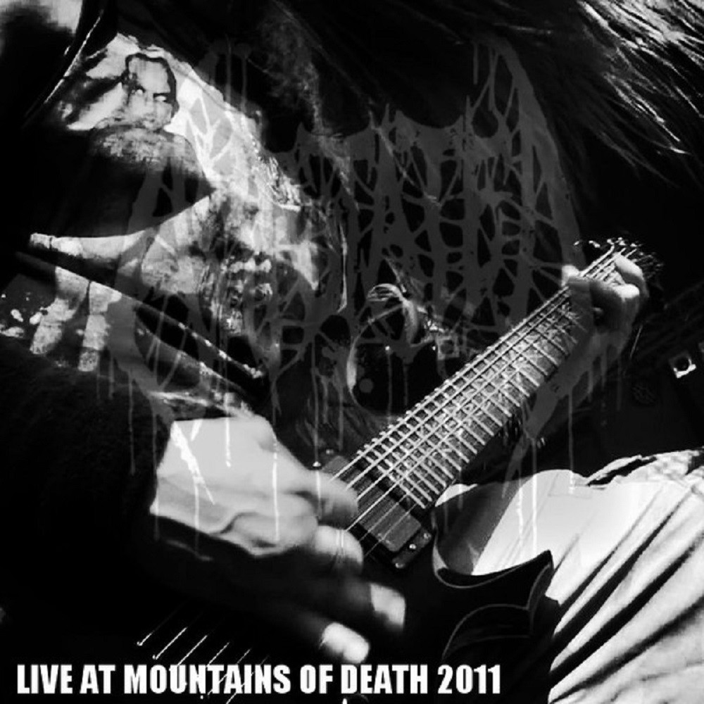 Amputated - Live at Mountains of Death 2011 (2013) Cover