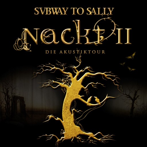 Nackt II - Die Akustiktour