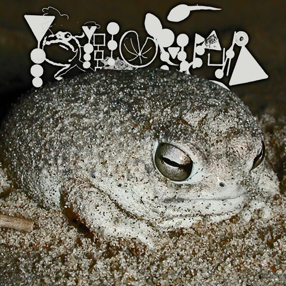 Phyllomedusa - The Non​-​Hopping Fossorial Breviceps (2013) Cover