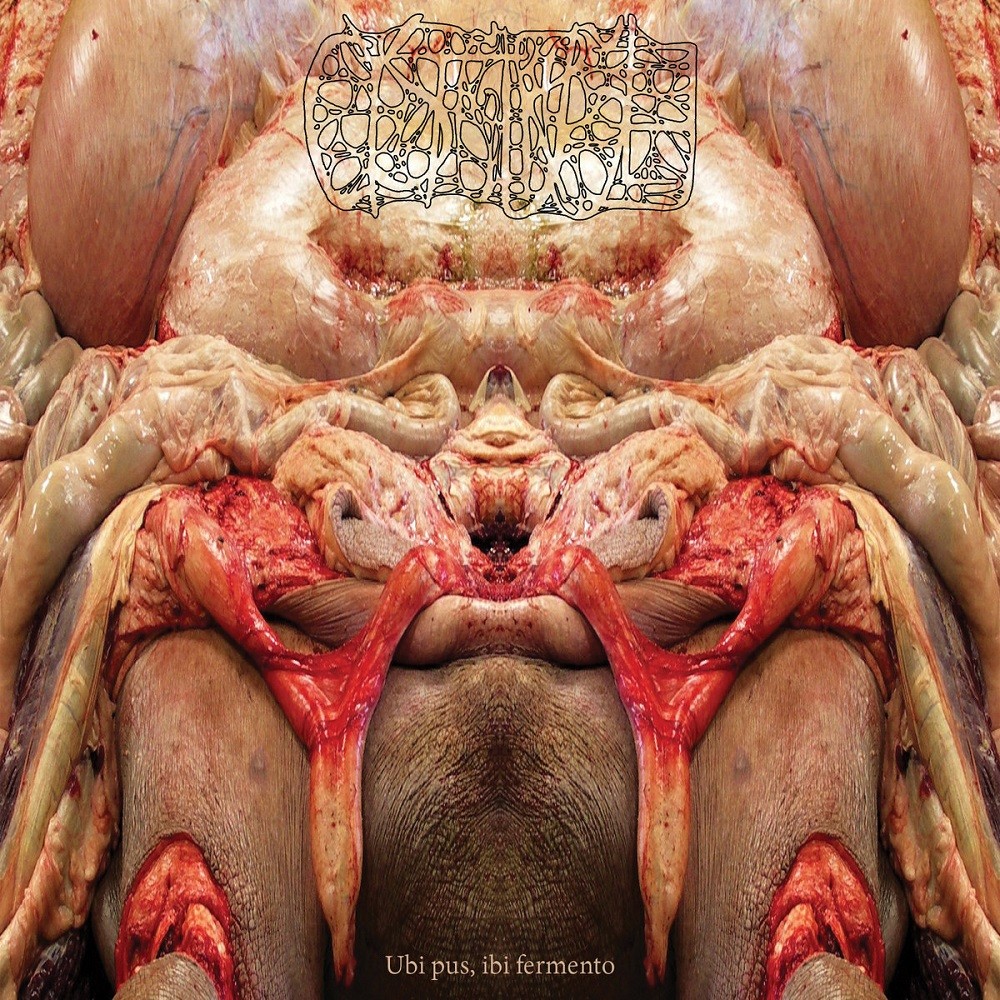 Cystgurgle - Ubi pus, ibi fermento (2020) Cover