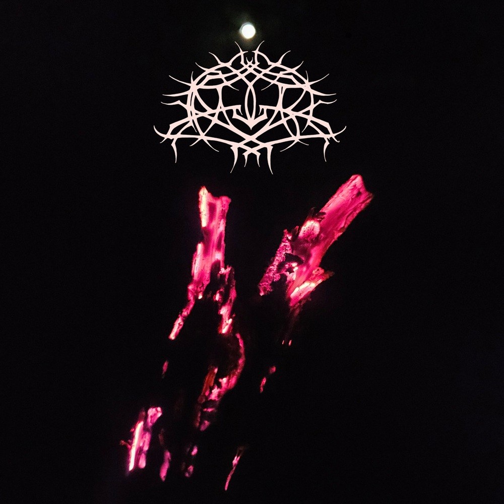 Krallice - No Hope (2025) Cover