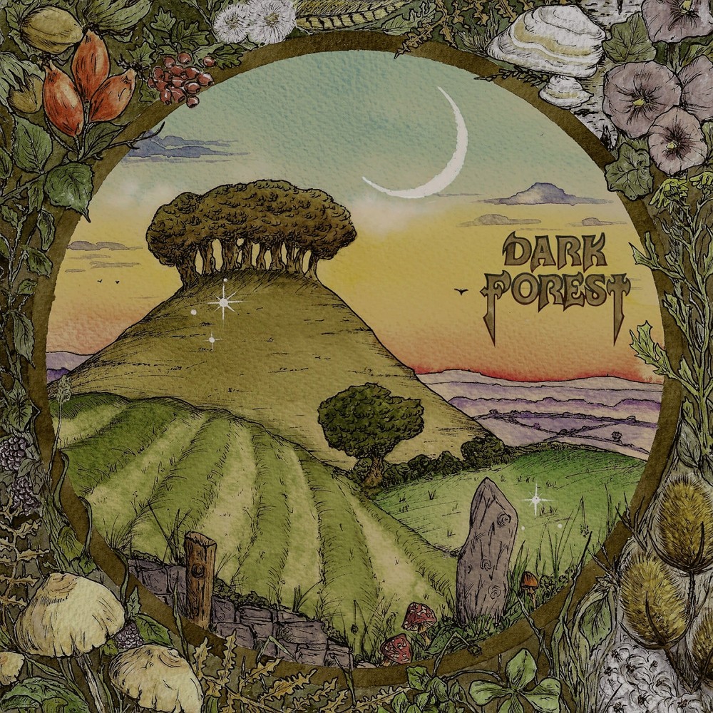 Dark Forest (GBR) - Ridge & Furrow (2022) Cover