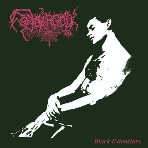 Black Extensions