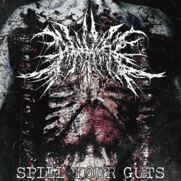Spill Your Guts