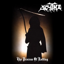 The Process of Rotting
