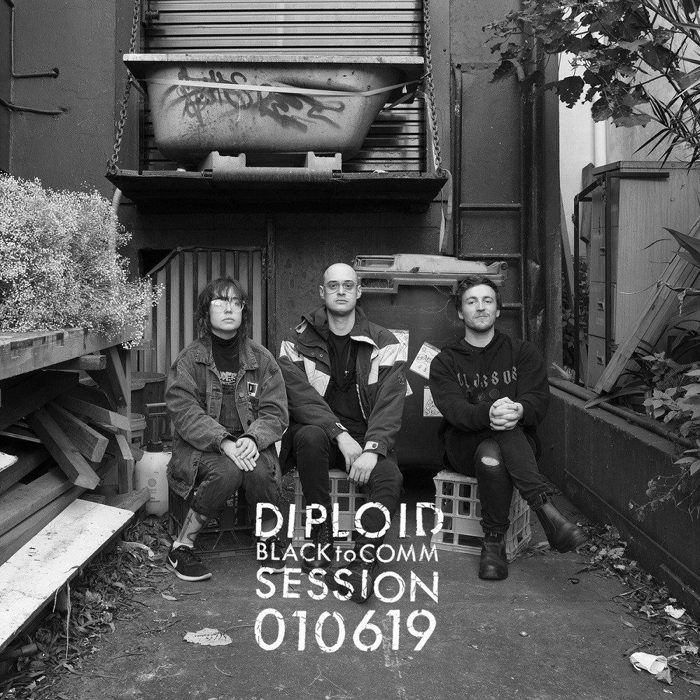 Diploid - BLACK to COMM Session 010619 (2020) Cover