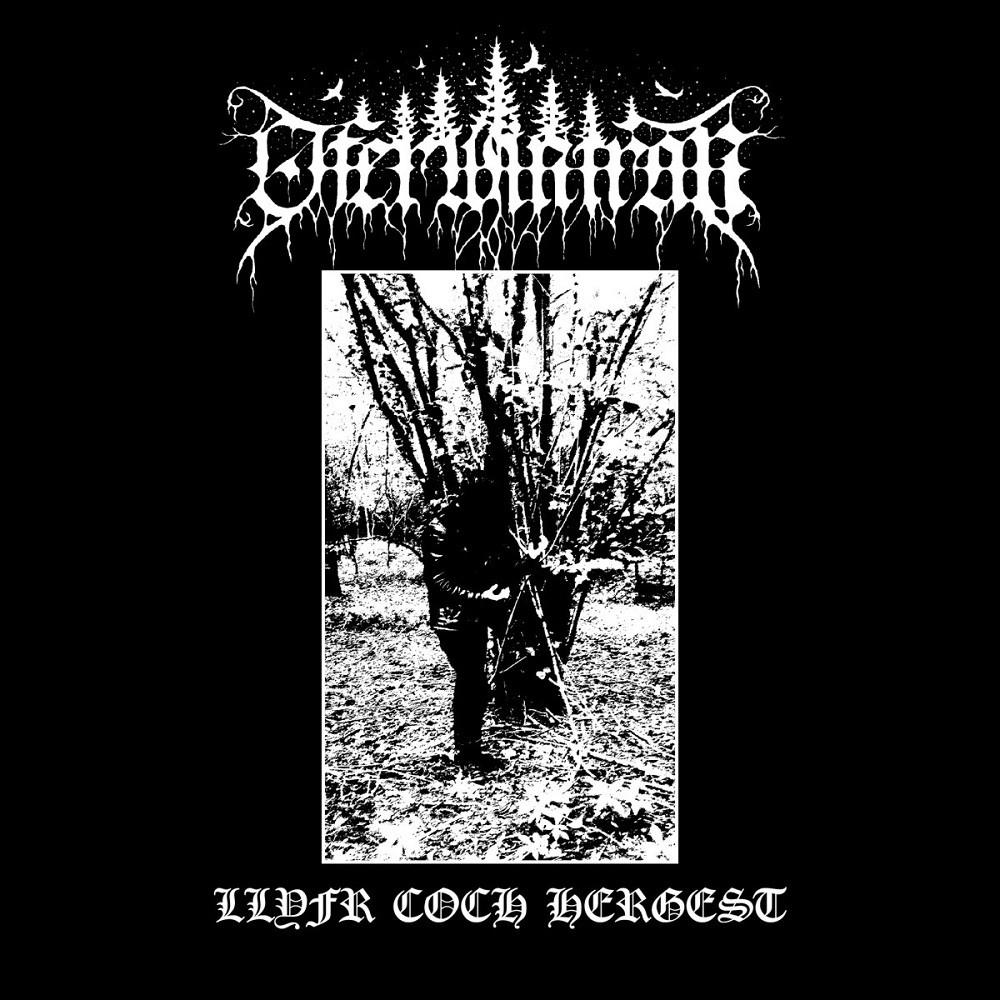 Oferwintran - Llyfr Coch Hergest (2019) Cover