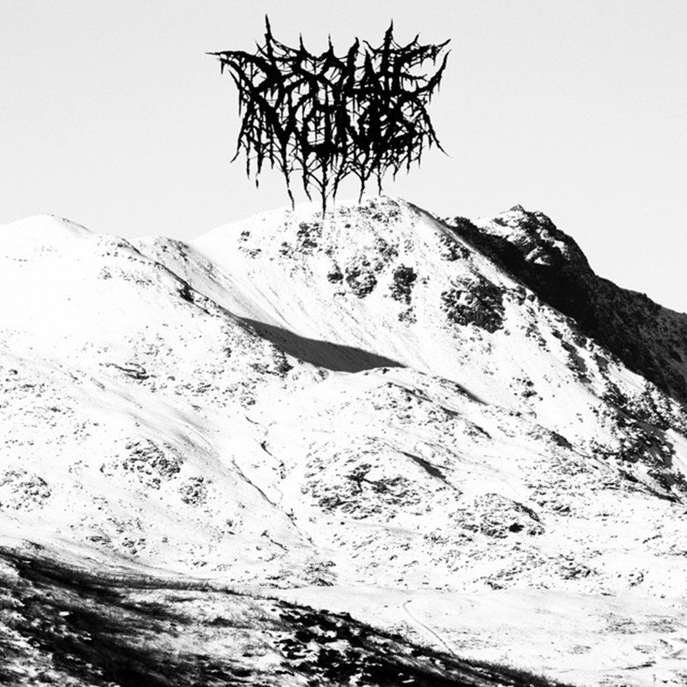 Desolate Winds - In Times of Cold