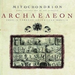 Review by Ben for Mitochondrion - Archaeaeon (2008)
